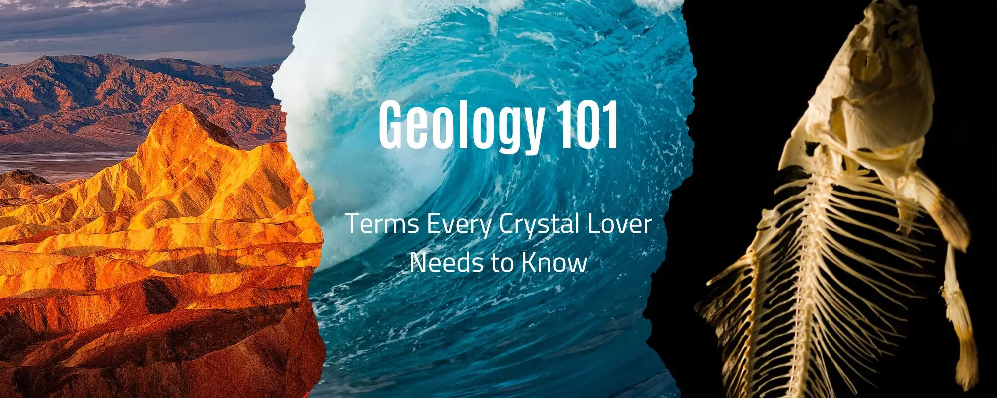 Geology 101: Essential Crystal Terms Infographic