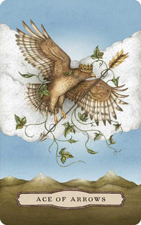 Tarot of the Woodland Wardens by Jessica Roux Tarot Deck #BC1801