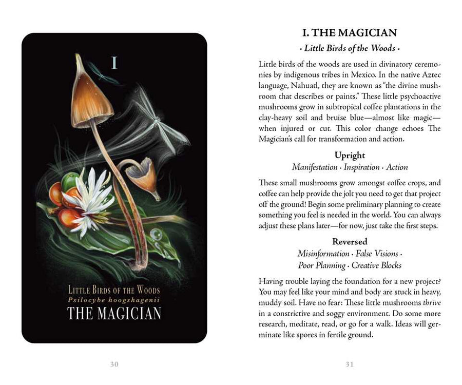 Midnight Magic by Sara Richard #BC1800
