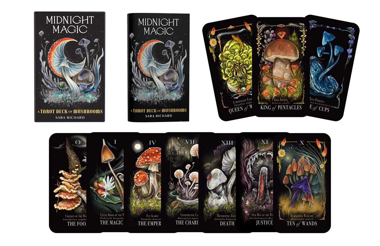 Midnight Magic by Sara Richard #BC1800