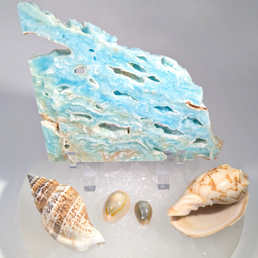Hemimorphite 4.2" Slab Slice #BC1614