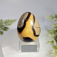 Septarian 2.3