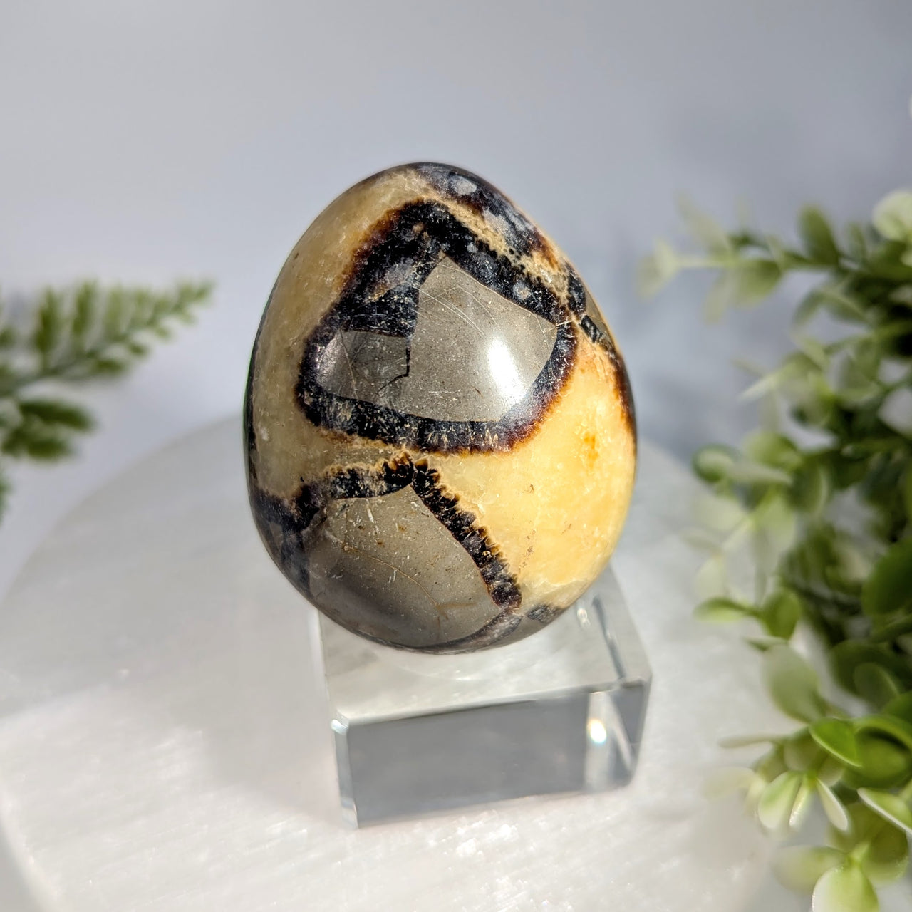Septarian 2.3" Egg #BC1617