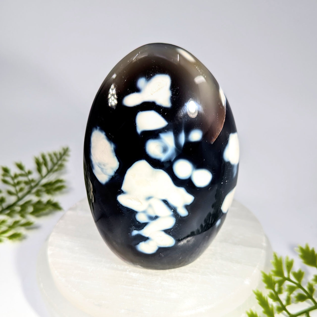 Orca Agate 4.1" Freeform #BC1628