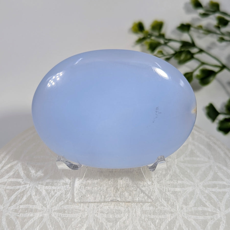Blue Chalcedony 2.5" Palm #BC1703