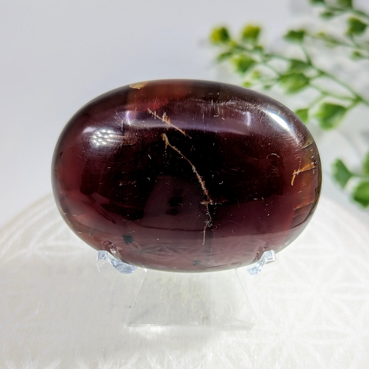 Blue Amber 2.5" Palm #BC1705