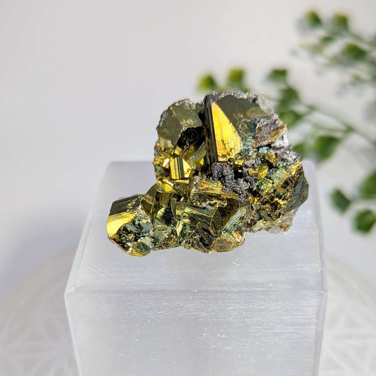 Rainbow Pyrite 1.5" Cluster #BC1715