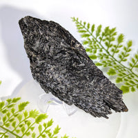 Black Kyanite 6