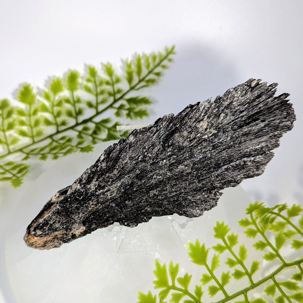 Black Kyanite 4.25" Rough Blade Cluster #BC1730