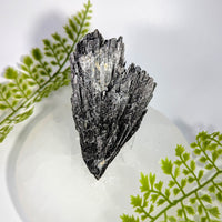 Black Kyanite 4