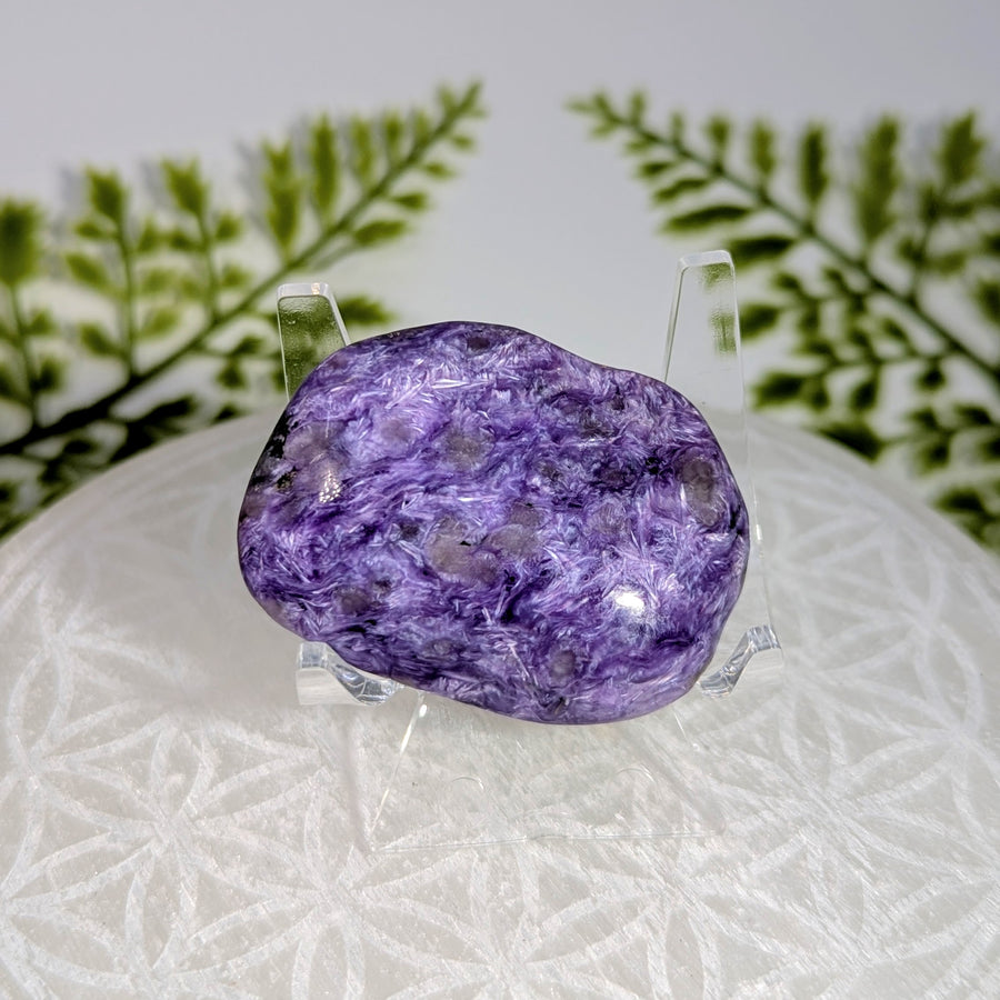 Charoite 1.75" Organic Palm #BC1737