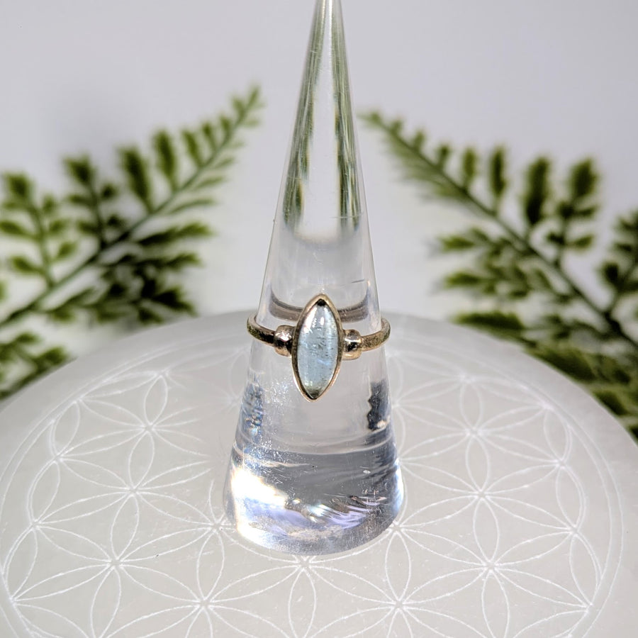 Aquamarine Dainty Sz 6.5 Marquis S.S. Ring #BC1909