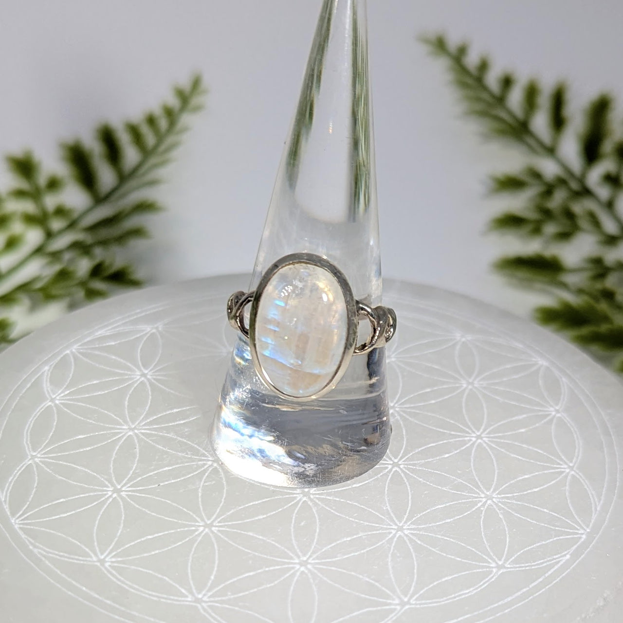 Rainbow Moonstone Sz 10 Oval Braided S.S. Ring #BC1910