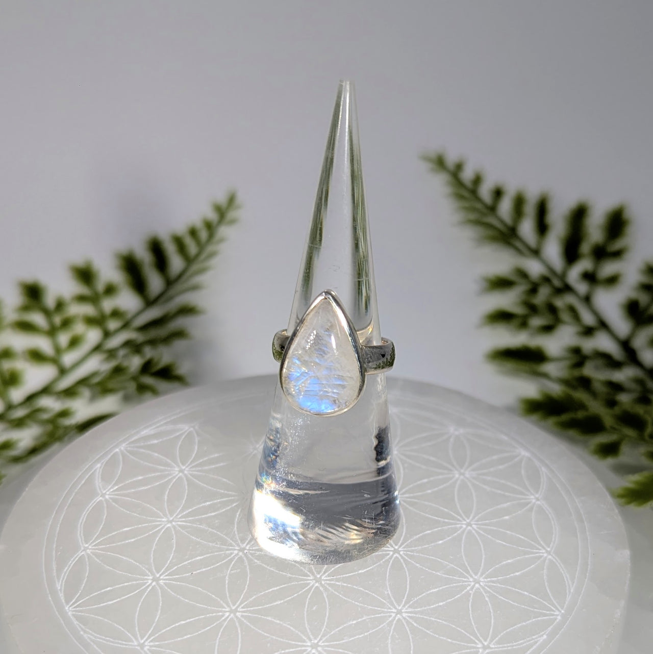 Rainbow Moonstone Sz 5.75 Teardrop S.S. Ring #BC1911