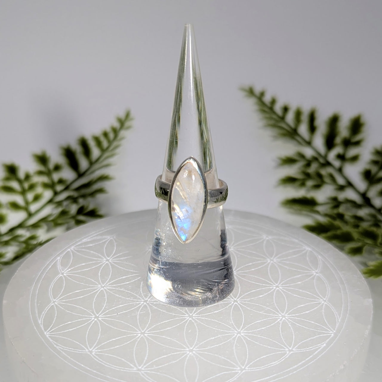 Rainbow Moonstone Sz 6.5 Marquis S.S. Ring #BC1912