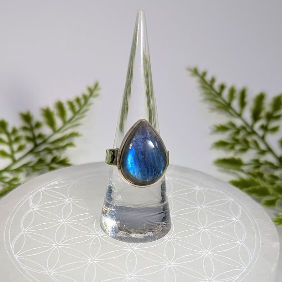 Labradorite   Sz 7.75 Teardrop S.S. Ring #BC1913