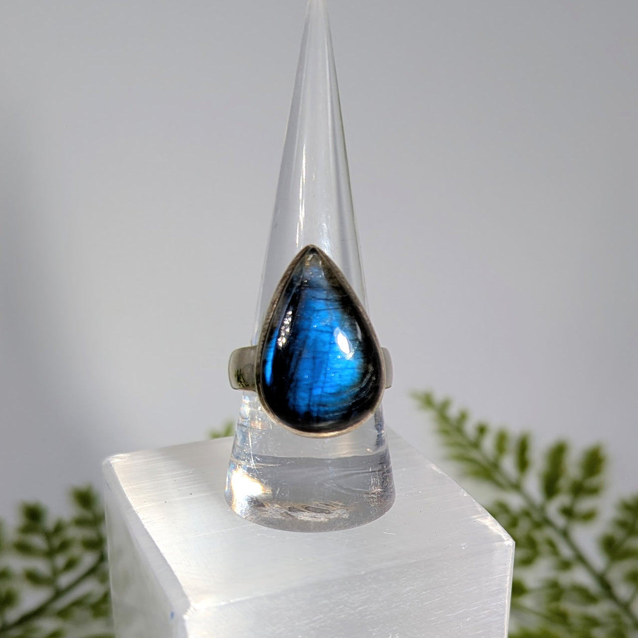 Labradorite  Sz 10 Teardrop S.S. Ring #BC1915