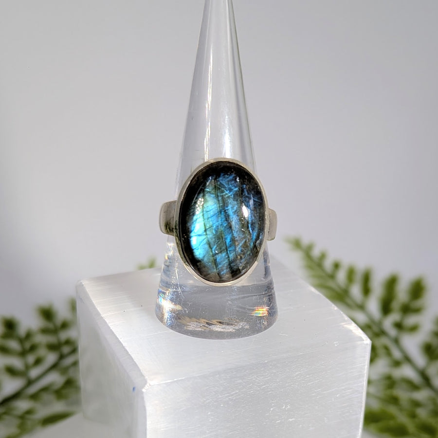 Labradorite Sz 9.5 Oval S.S. Ring #BC1916