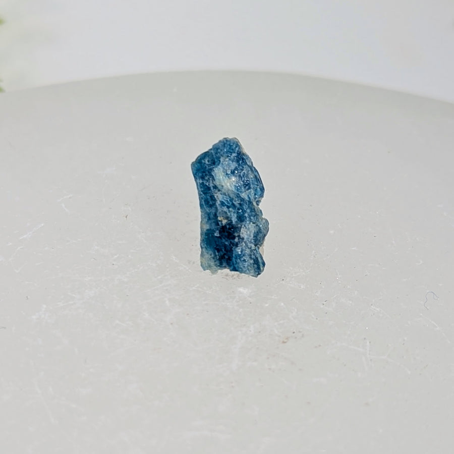 Blue Euclase .6" Rough Mini Specimen #BC1934