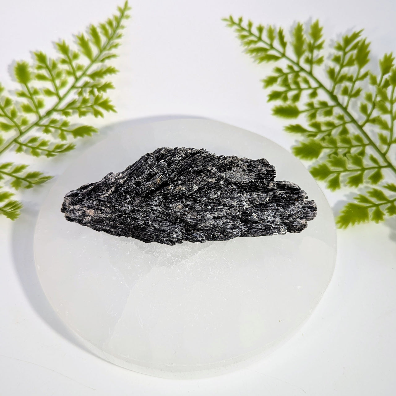 Black Kyanite 4 - 5" Rough Specimen #BC1940