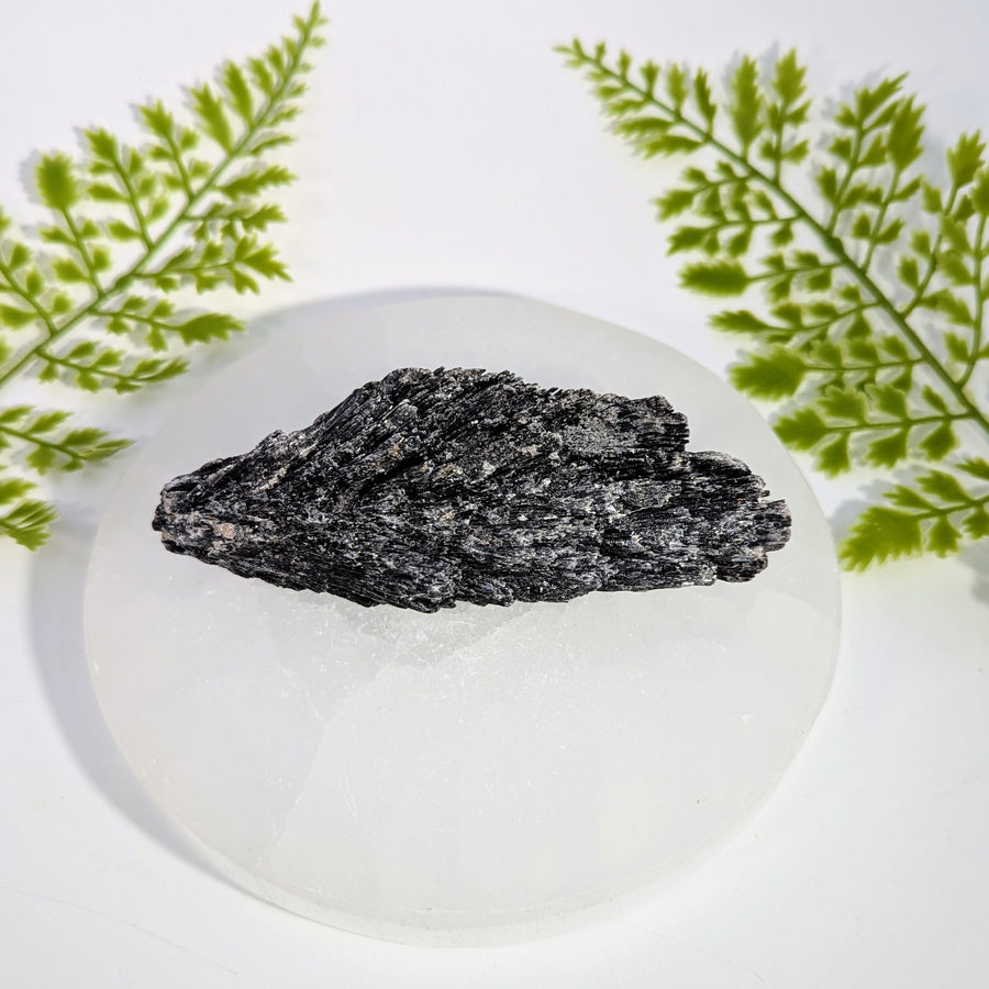 Black Kyanite 4 - 5" Rough Specimen #BC1940