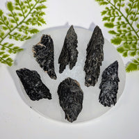 Black Kyanite 1.7 - 4