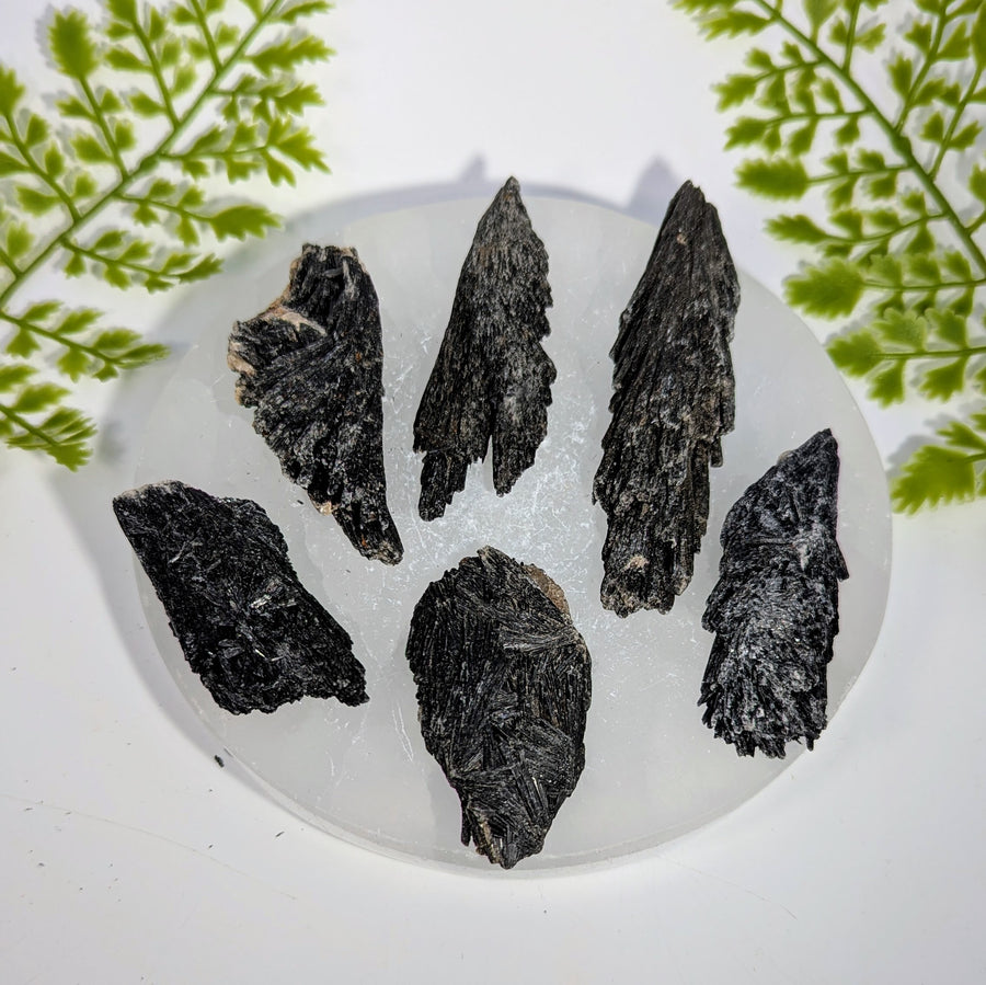 Black Kyanite 1.7 - 4"  Rough Blade Assorted Size #BC1941