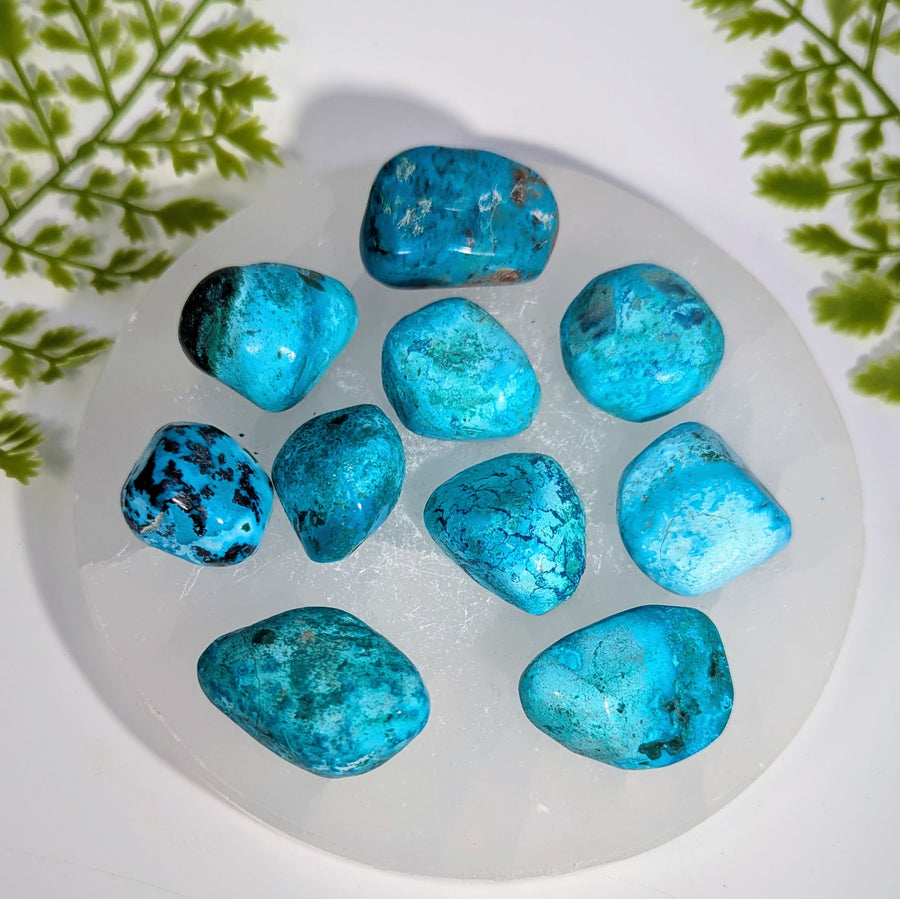Shattuckite  .9 - 1.5" Tumbled Stone #BC1942