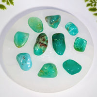 Chrysoprase Dark .7 - 1.4