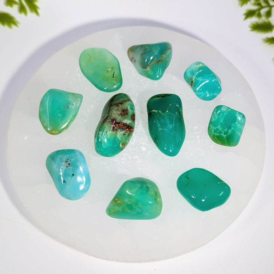 Chrysoprase Dark .7 - 1.4" AAA Gemmy TS #BC1946