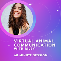 VIRTUAL Animal Communication Reading With Riley- 60 minute Session