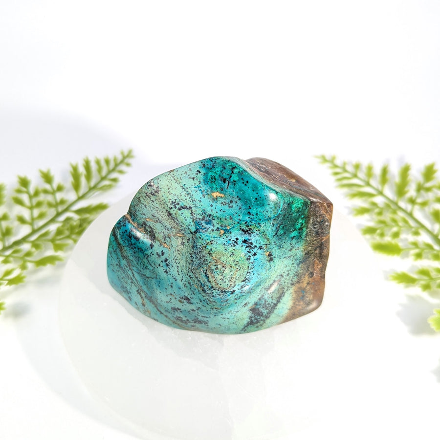 Arizona Chrysocolla 2 - 4" Tumbled Specimen #BC1762
