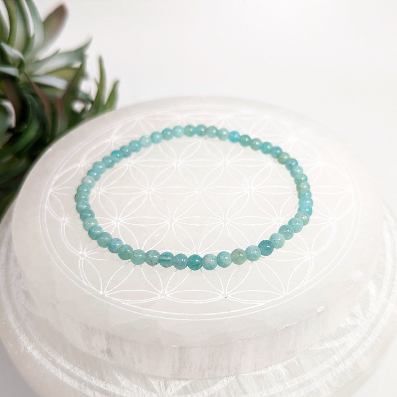 Turquoise beaded bracelet made of Amazonite with 4mm beads in a 7-inch length