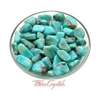 1 oz AMAZONITE Tumbled Stone Mixed Lot Green Madagascar 