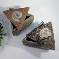Ammonite Fossil 3 - 3.1’’ Brown Triangle Box #LV9294 - $130
