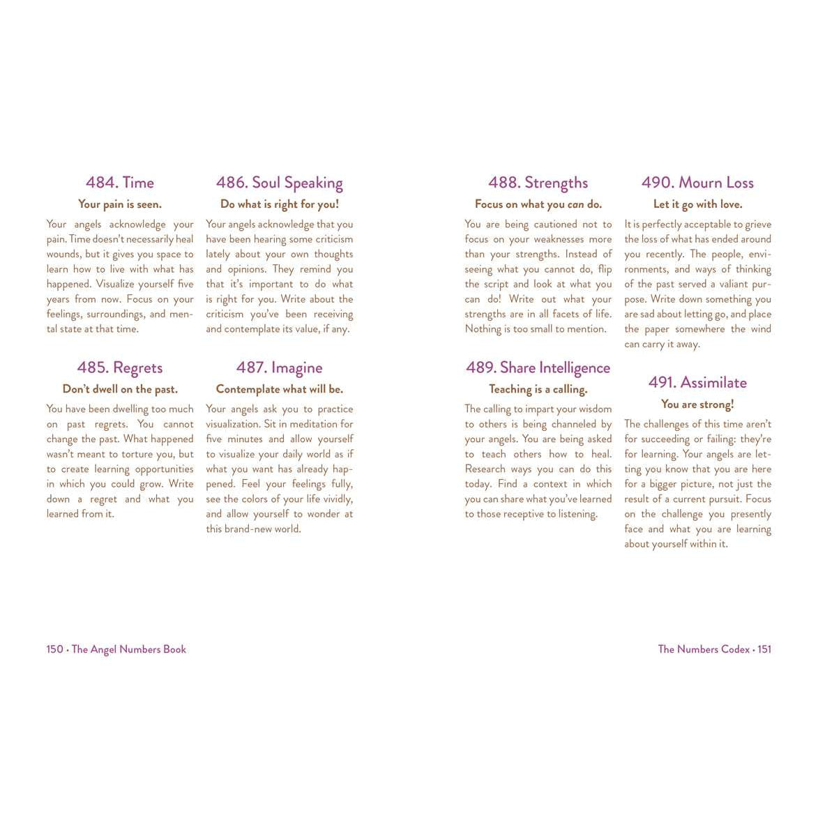 Angel Numbers Guide displayed in Mystic Michaela Angel Numbers Book LV4200