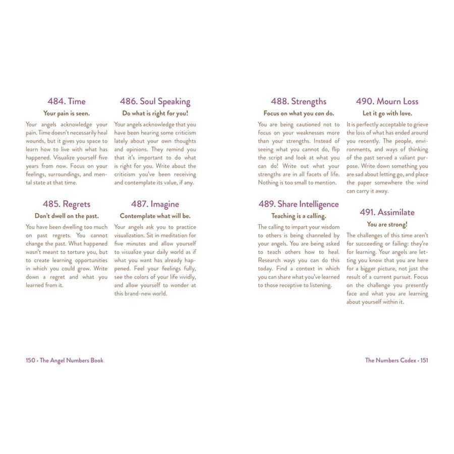 Angel Numbers Guide displayed in Mystic Michaela Angel Numbers Book LV4200
