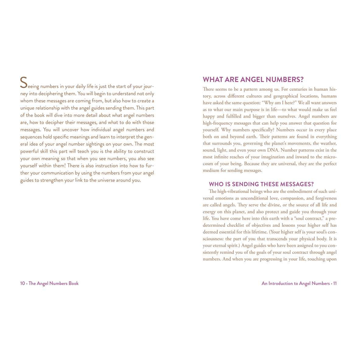 Open book pages with text from Angel Numbers Book by Mystic Michaela LV4200