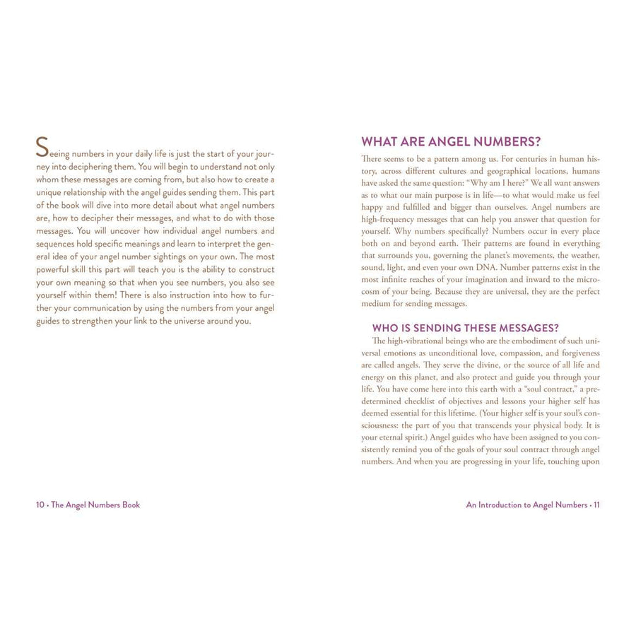 Open book pages with text from Angel Numbers Book by Mystic Michaela LV4200