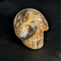 Assorted Crystal Skull #C076 - Crazy Lace Agate - $12.95