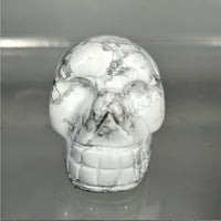 Assorted Crystal Skull #C076 - Howlite - $12.95