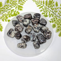 Polished astrophyllite tumbled stone 0.8-1.11in #BC1269 on quartz plate
