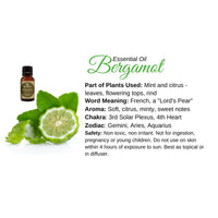 Bergamot essential oil with bergia leaves and lime on Bergamot Essential Oil Info Card #Q068