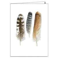 Birds of Prey Feathers Blank Card #LV3708 featuring three feathers on a white background