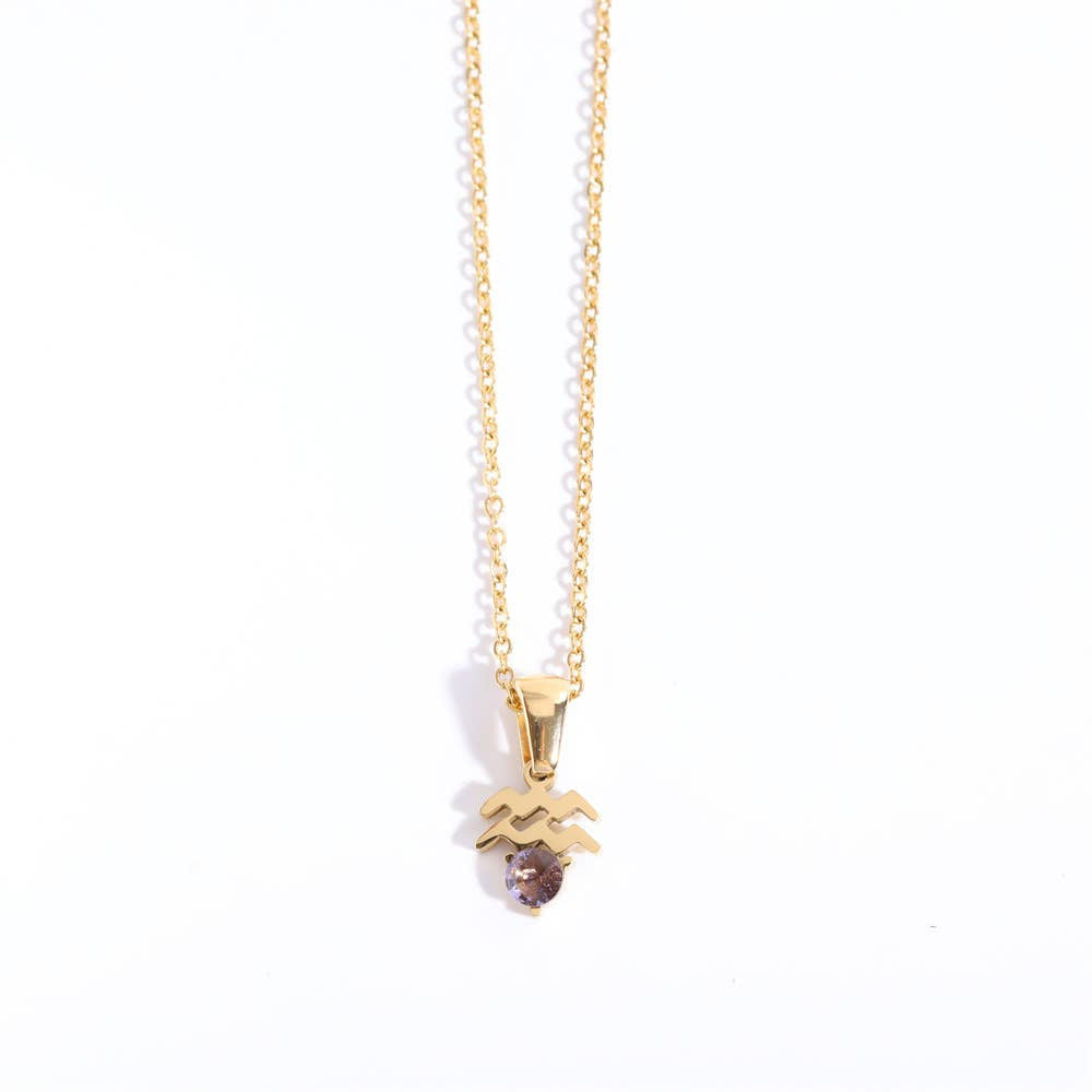 Birthstone Astrology Zodiac Necklace - You Choose Sign
