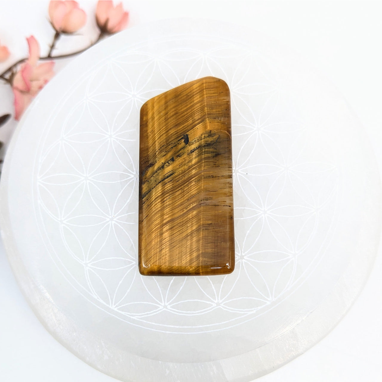 Polished Blue Tiger’s Eye 2.2-inch slab showcasing vibrant chatoyancy and smooth finish