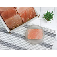 Body Bar Stones for Exfoliation #LV3590 with white bowl of raw salmon in the background