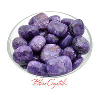 1 CHAROITE Tumbled Stone Rare Grade A Healing Crystal and 