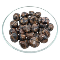 1 Chiastolite Grade AA Tumbled Stone (15g) #SK6311 - $4.95
