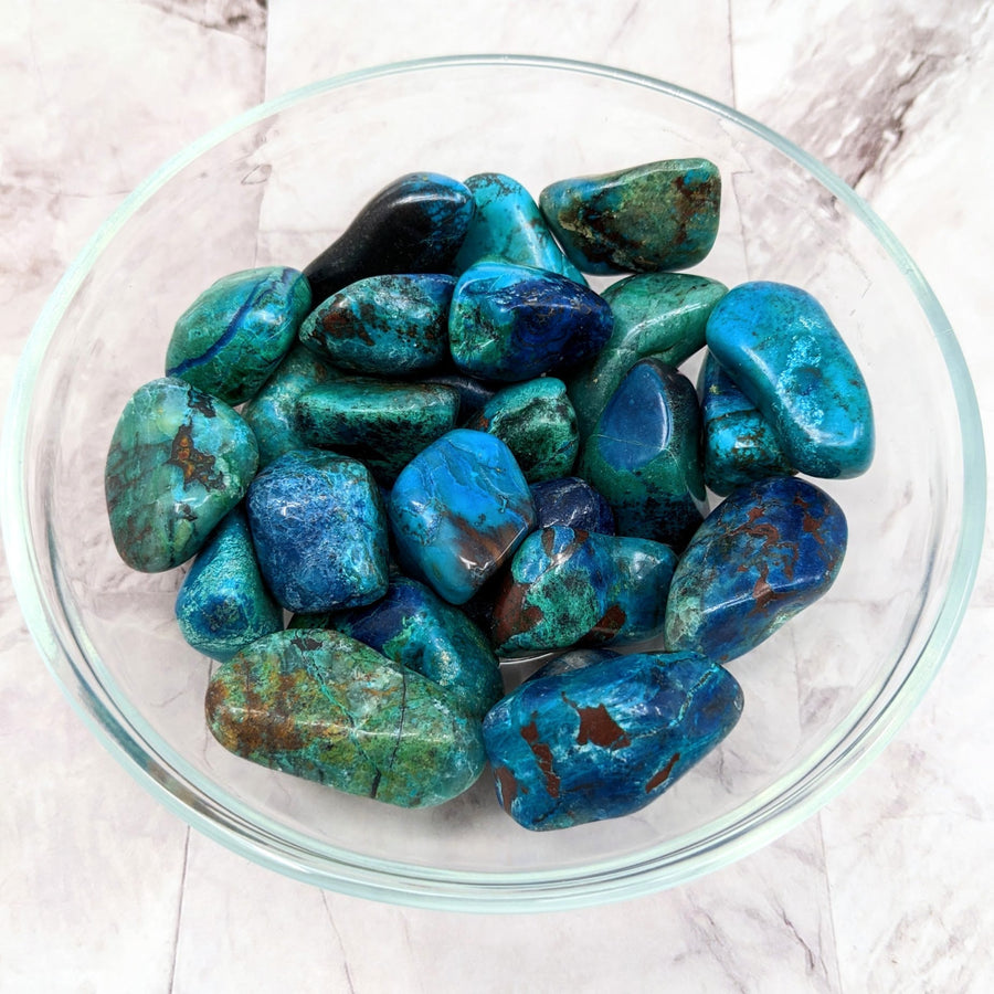 Bowl filled with Chrysocolla & Shattukite tumbled stones (1-1.5’) #LV2282
